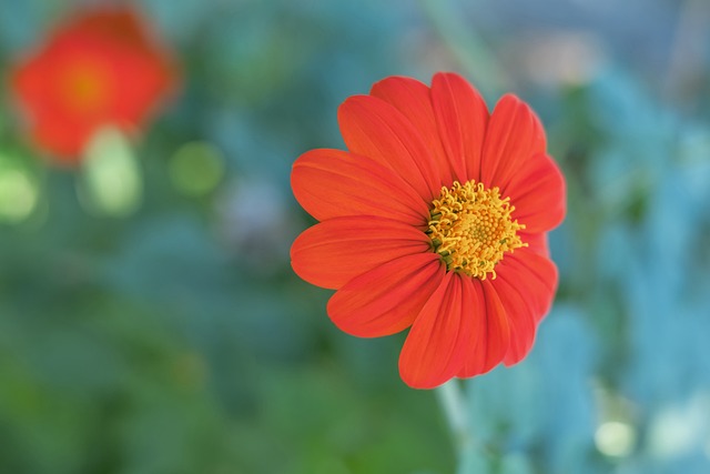 英超七季唯一每季参与进球上双：布鲁诺-费尔南德斯