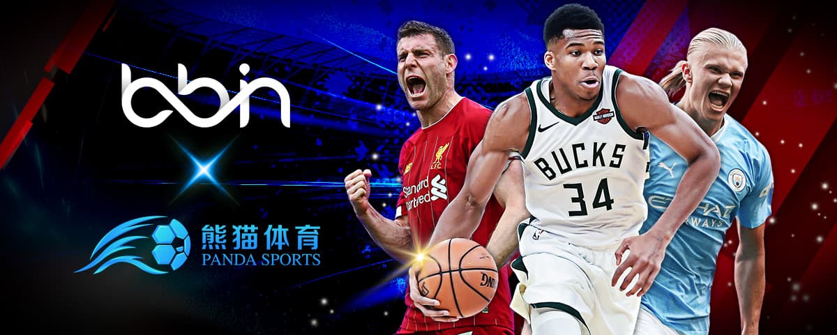 给不少小国