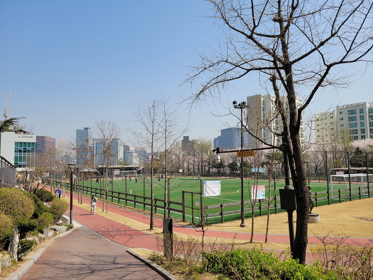 为泰山队解