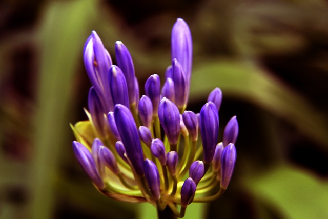 在许多人眼 在许多人眼