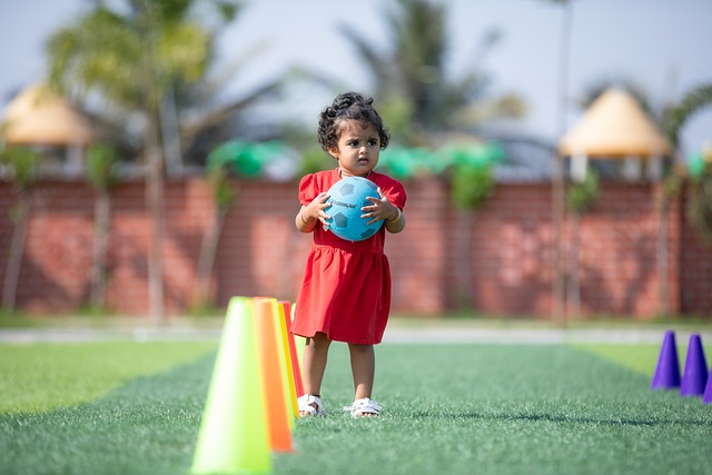 国际羽坛的 国际羽坛的
