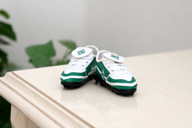 起的新星 起的新星