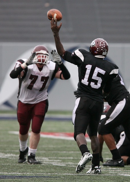 风力发电机 风力发电机